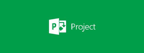 Microsoft Project Online Professional Open License 1 licence(s) 1 année(s)