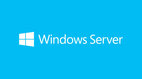 Microsoft Windows Server CAL 2019 5 licence(s)