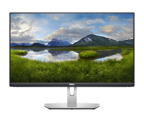 DELL S Series S2421HN écran plat de PC 60,5 cm (23.8") 1920 x 1080 pixels Full HD LCD Gris