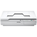 Epson WorkForce DS-5500 Numérisation à plat 1200 x 1200 DPI A4 Blanc