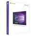 Microsoft Windows 10 Pro (64-bit) 1 licence(s)