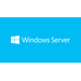 Microsoft Windows Server CAL 2019 5 licence(s)