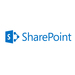 Microsoft SharePoint Standard Open License 1 licence(s) Licence