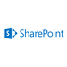 Microsoft SharePoint Server 2019 Open License 1 licence(s) Licence